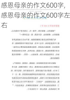 感恩母亲的作文600字,感恩母亲的作文600字左右