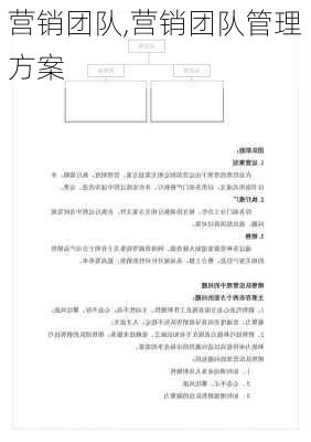 营销团队,营销团队管理方案-第3张图片-星梦范文网