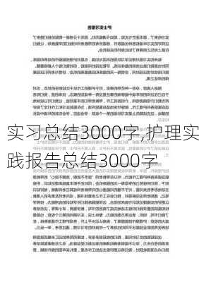 实习总结3000字,护理实践报告总结3000字-第3张图片-星梦范文网