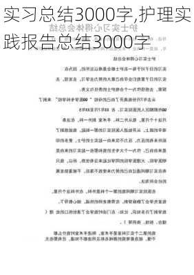 实习总结3000字,护理实践报告总结3000字-第2张图片-星梦范文网