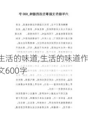 生活的味道,生活的味道作文600字-第3张图片-星梦范文网