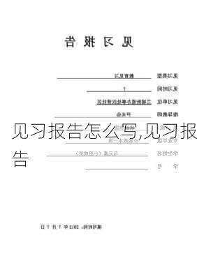 见习报告怎么写,见习报告-第1张图片-星梦范文网