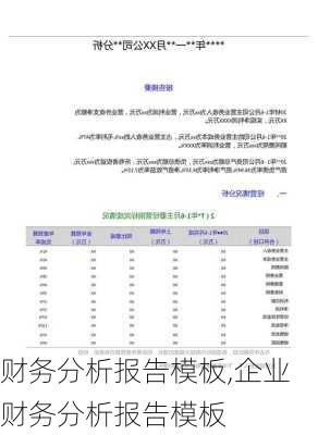 财务分析报告模板,企业财务分析报告模板-第2张图片-星梦范文网