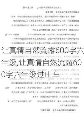 让真情自然流露600字六年级,让真情自然流露600字六年级过山车