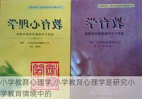 小学教育心理学,小学教育心理学是研究小学教育情境中的-第3张图片-星梦范文网