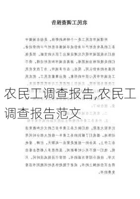 农民工调查报告,农民工调查报告范文-第2张图片-星梦范文网