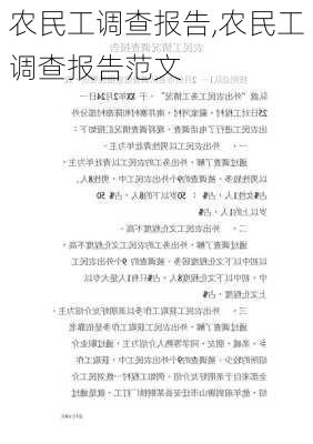 农民工调查报告,农民工调查报告范文-第3张图片-星梦范文网