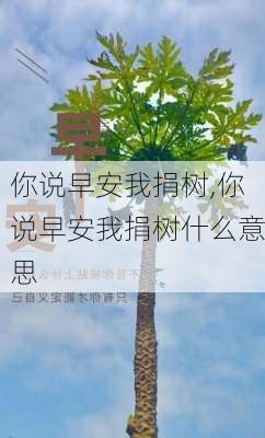 你说早安我捐树,你说早安我捐树什么意思