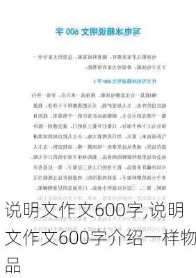 说明文作文600字,说明文作文600字介绍一样物品-第3张图片-星梦范文网