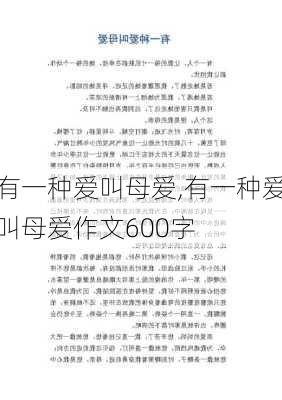 有一种爱叫母爱,有一种爱叫母爱作文600字