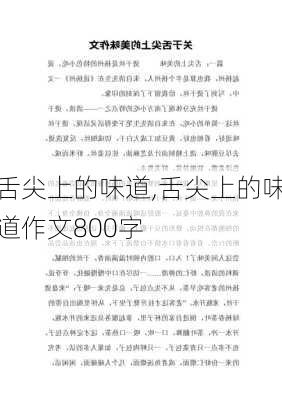 舌尖上的味道,舌尖上的味道作文800字