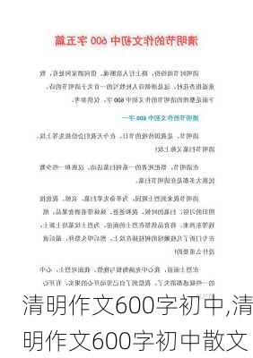 清明作文600字初中,清明作文600字初中散文-第2张图片-星梦范文网