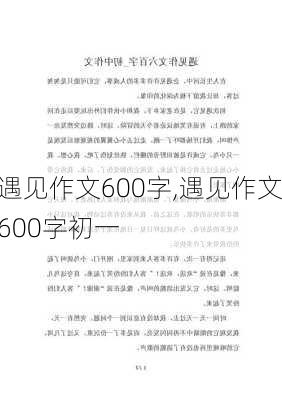 遇见作文600字,遇见作文600字初一