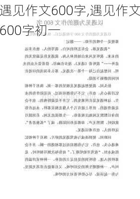 遇见作文600字,遇见作文600字初一-第2张图片-星梦范文网