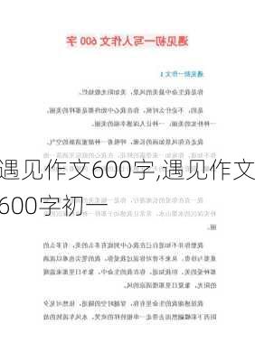 遇见作文600字,遇见作文600字初一-第3张图片-星梦范文网