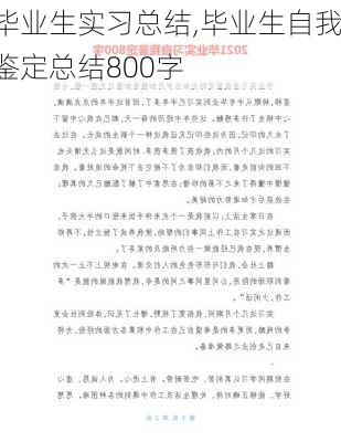 毕业生实习总结,毕业生自我鉴定总结800字