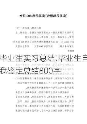 毕业生实习总结,毕业生自我鉴定总结800字-第2张图片-星梦范文网