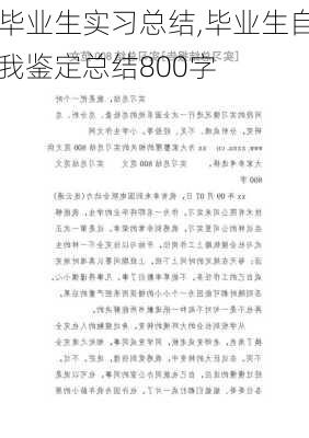 毕业生实习总结,毕业生自我鉴定总结800字-第2张图片-星梦范文网