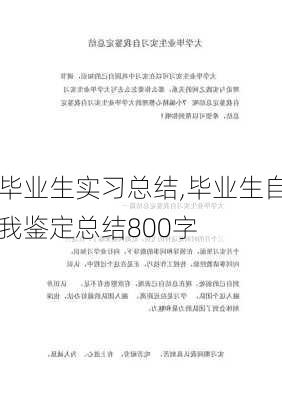 毕业生实习总结,毕业生自我鉴定总结800字-第3张图片-星梦范文网