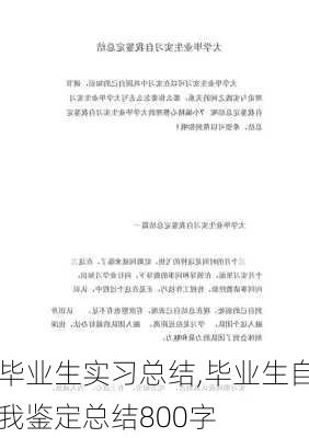 毕业生实习总结,毕业生自我鉴定总结800字-第3张图片-星梦范文网