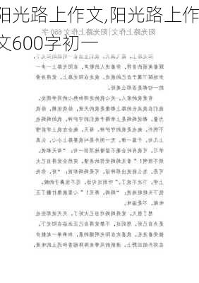 阳光路上作文,阳光路上作文600字初一-第2张图片-星梦范文网