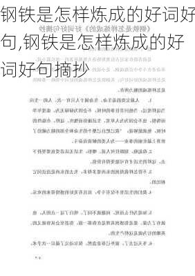 钢铁是怎样炼成的好词好句,钢铁是怎样炼成的好词好句摘抄-第2张图片-星梦范文网