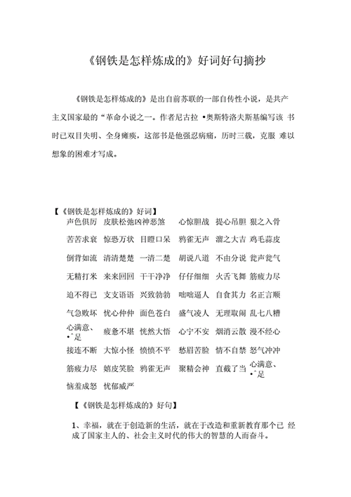 钢铁是怎样炼成的好词好句,钢铁是怎样炼成的好词好句摘抄-第2张图片-星梦范文网