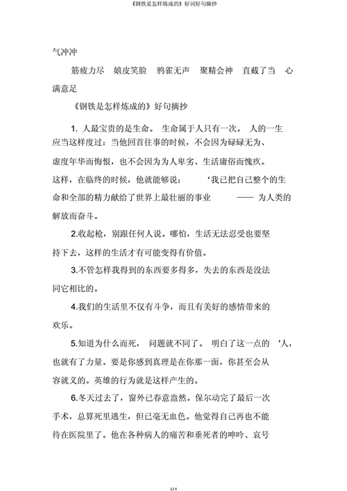 钢铁是怎样炼成的好词好句,钢铁是怎样炼成的好词好句摘抄-第3张图片-星梦范文网