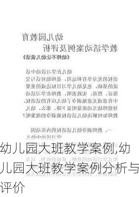 幼儿园大班教学案例,幼儿园大班教学案例分析与评价-第2张图片-星梦范文网