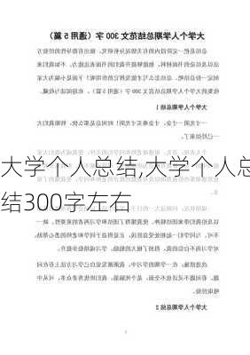 大学个人总结,大学个人总结300字左右-第2张图片-星梦范文网