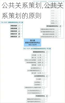 公共关系策划,公共关系策划的原则