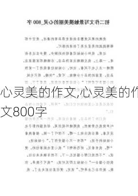 心灵美的作文,心灵美的作文800字