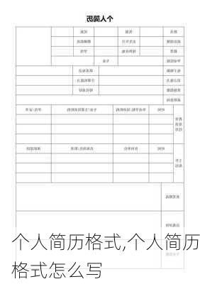 个人简历格式,个人简历格式怎么写-第2张图片-星梦范文网