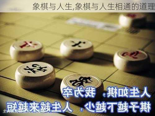 象棋与人生,象棋与人生相通的道理