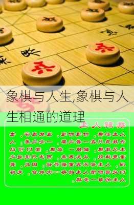 象棋与人生,象棋与人生相通的道理-第2张图片-星梦范文网