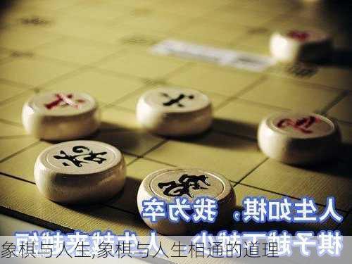 象棋与人生,象棋与人生相通的道理