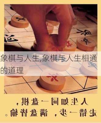 象棋与人生,象棋与人生相通的道理-第3张图片-星梦范文网