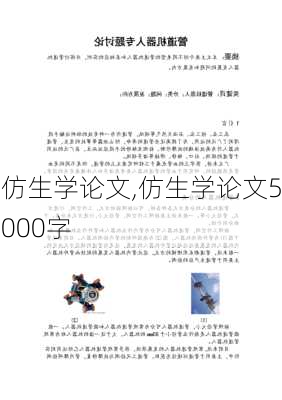 仿生学论文,仿生学论文5000字-第3张图片-星梦范文网