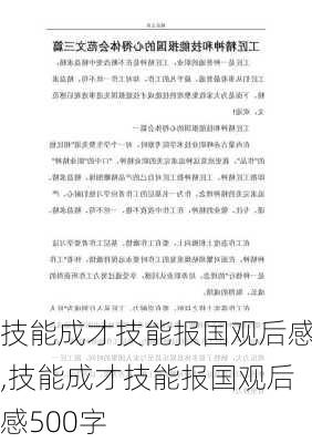 技能成才技能报国观后感,技能成才技能报国观后感500字-第3张图片-星梦范文网