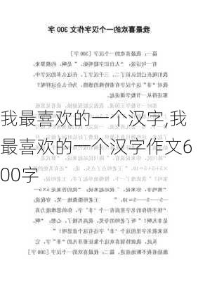 我最喜欢的一个汉字,我最喜欢的一个汉字作文600字-第3张图片-星梦范文网