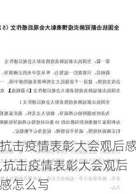 抗击疫情表彰大会观后感,抗击疫情表彰大会观后感怎么写-第2张图片-星梦范文网