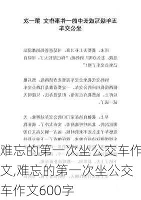 难忘的第一次坐公交车作文,难忘的第一次坐公交车作文600字-第1张图片-星梦范文网