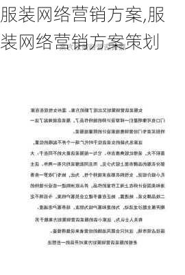 服装网络营销方案,服装网络营销方案策划