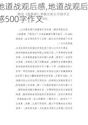 地道战观后感,地道战观后感500字作文-第2张图片-星梦范文网