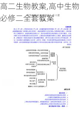 高二生物教案,高中生物必修二全套教案-第3张图片-星梦范文网