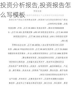 投资分析报告,投资报告怎么写模板-第3张图片-星梦范文网