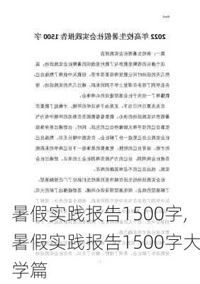 暑假实践报告1500字,暑假实践报告1500字大学篇-第1张图片-星梦范文网