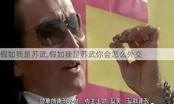 假如我是苏武,假如我是苏武你会怎么外交