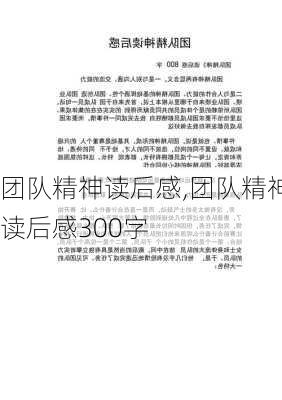 团队精神读后感,团队精神读后感300字