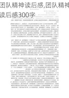 团队精神读后感,团队精神读后感300字-第2张图片-星梦范文网